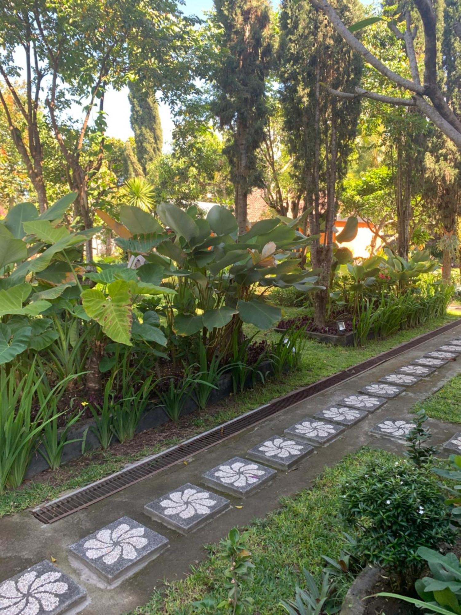 Batur Sunrise Guesthouse Kintamani エクステリア 写真